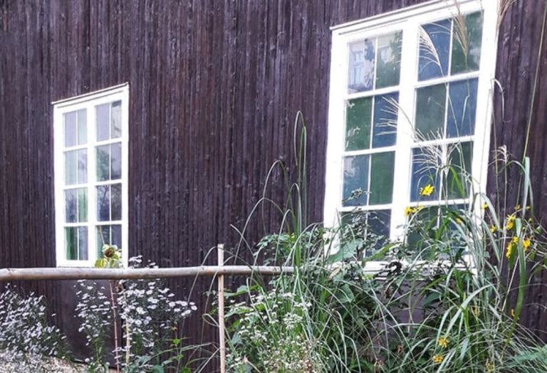 Blick in einen Wildgarten vor einem Holzhaus