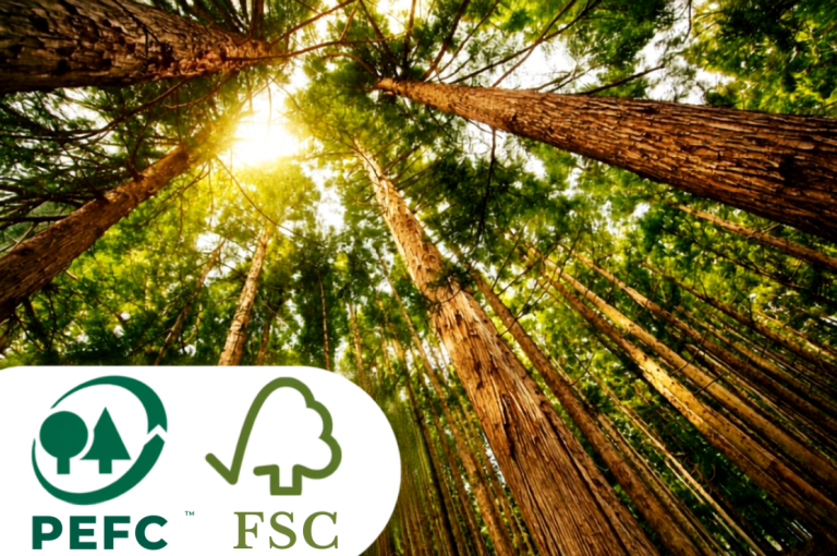 Zertifizierungen PEFC FSC - Wald